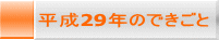 平成29年のできごと